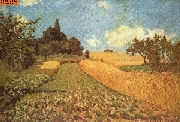 Kornfeld nach Sisley